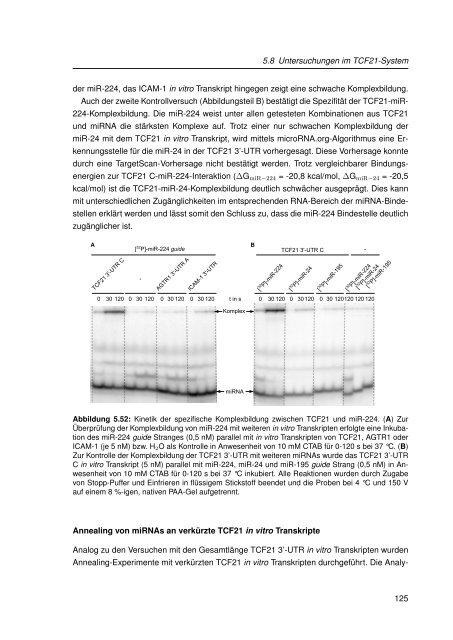 Mechanistische Analysen zu Krankheits-korrelierten SNPs in ...