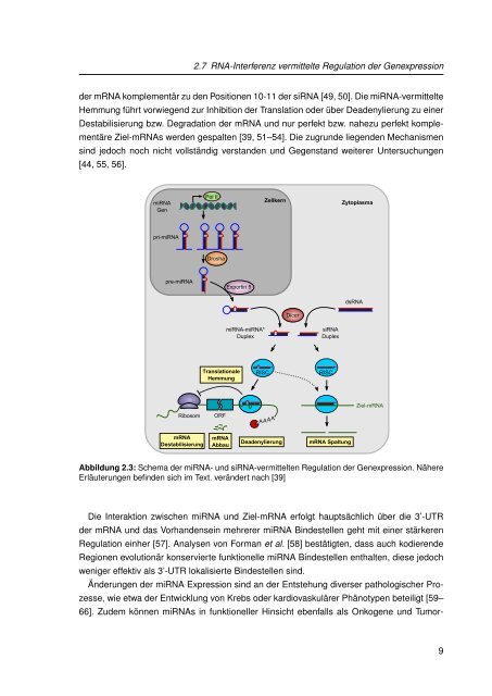 Mechanistische Analysen zu Krankheits-korrelierten SNPs in ...