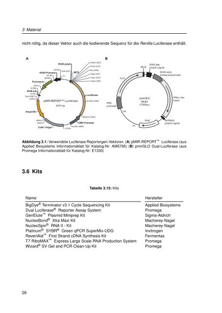 Mechanistische Analysen zu Krankheits-korrelierten SNPs in ...