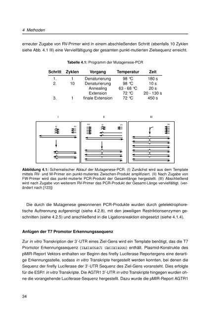 Mechanistische Analysen zu Krankheits-korrelierten SNPs in ...