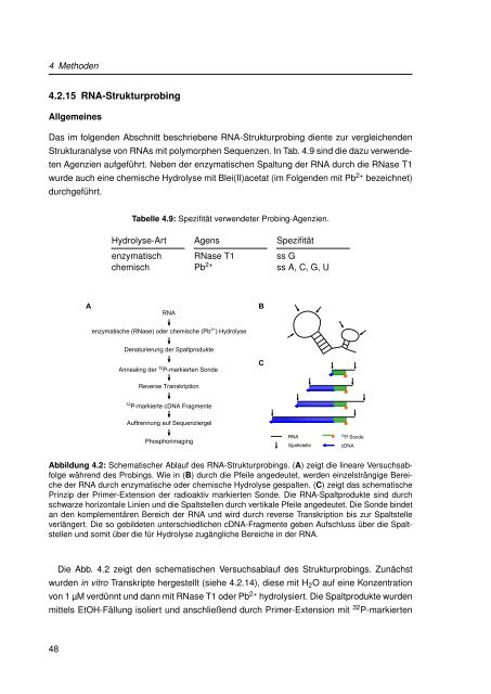 Mechanistische Analysen zu Krankheits-korrelierten SNPs in ...