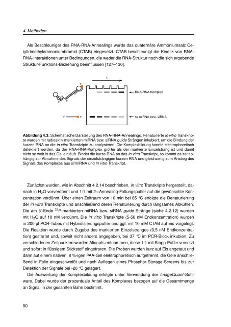 Mechanistische Analysen zu Krankheits-korrelierten SNPs in ...