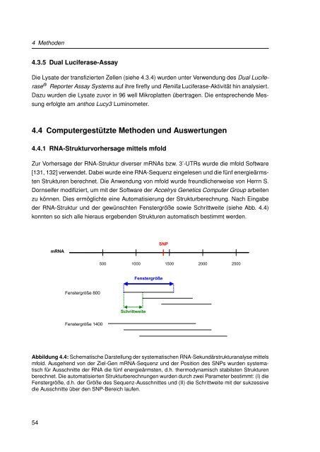 Mechanistische Analysen zu Krankheits-korrelierten SNPs in ...