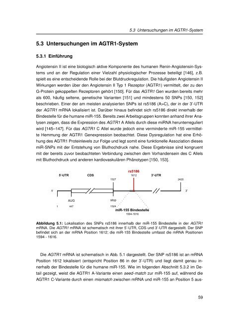 Mechanistische Analysen zu Krankheits-korrelierten SNPs in ...