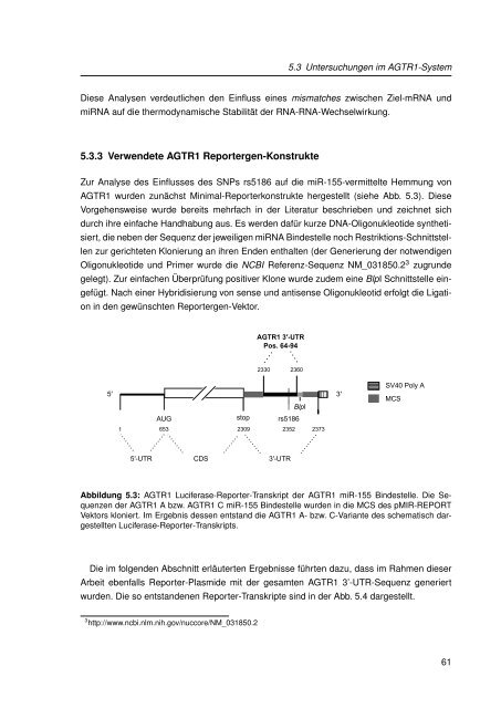 Mechanistische Analysen zu Krankheits-korrelierten SNPs in ...