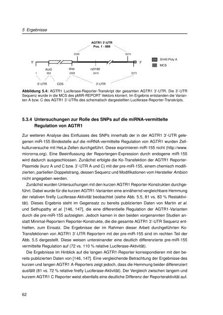 Mechanistische Analysen zu Krankheits-korrelierten SNPs in ...