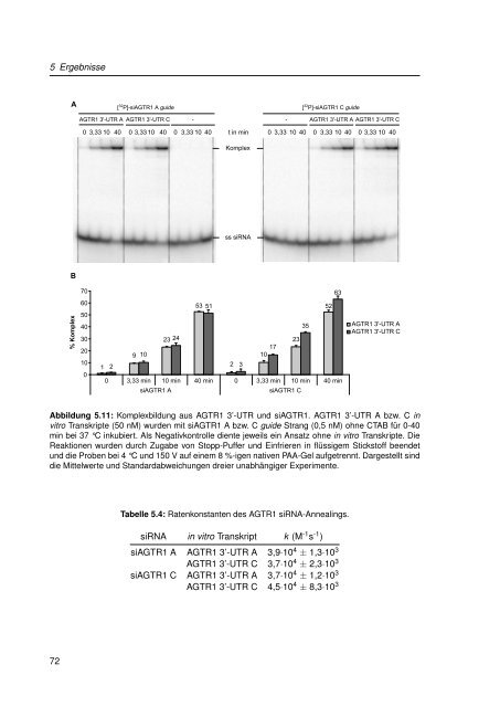 Mechanistische Analysen zu Krankheits-korrelierten SNPs in ...