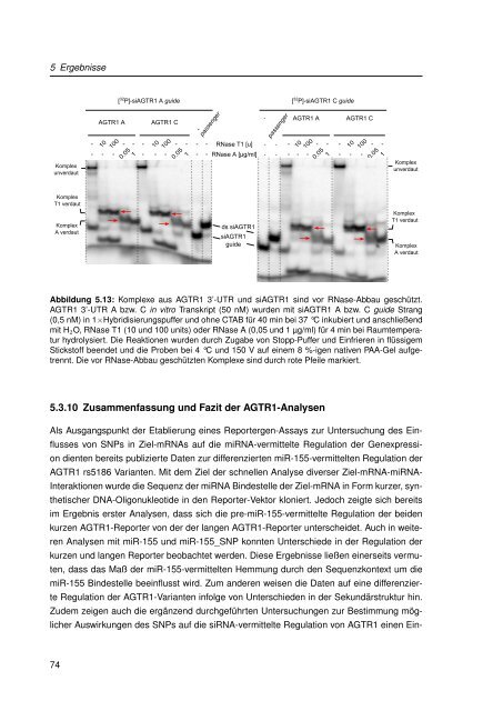 Mechanistische Analysen zu Krankheits-korrelierten SNPs in ...