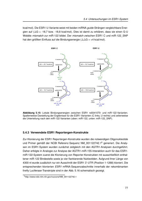 Mechanistische Analysen zu Krankheits-korrelierten SNPs in ...