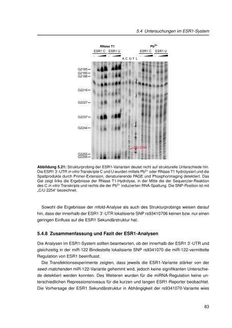 Mechanistische Analysen zu Krankheits-korrelierten SNPs in ...