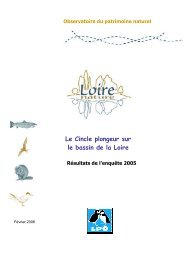 Le Cincle plongeur sur le bassin de la Loire - loirenature
