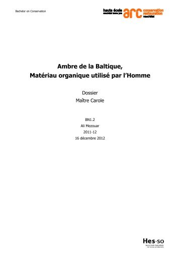 Ambre de la Baltique âMatÃ©riau organique utilisÃ© par l'Homme - Eric ...