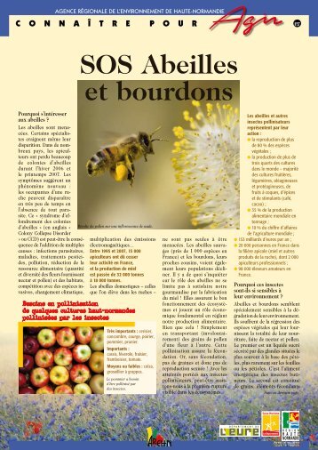 SOS Abeilles et bourdons - Arehn