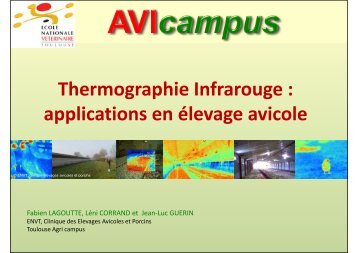 Thermographie Infrarouge en élevage avicole - Avicampus