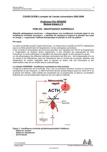 DEUXIEME CYCLE DES ETUDES MEDICALES - Faculté de ...