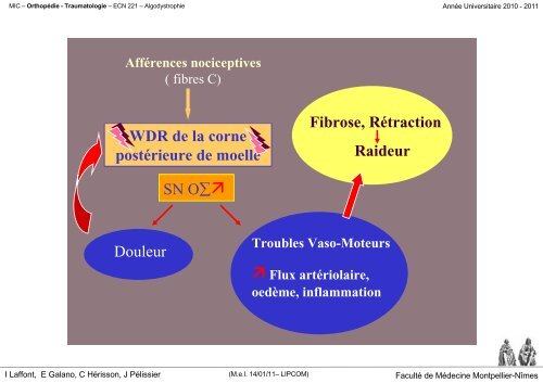 L 'ALGODYSTROPHIE - Faculté de médecine de Montpellier