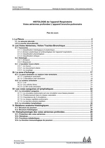 HISTOLOGIE de l'appareil Respiratoire Voies aériennes profondes ...