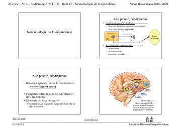 2e cycle – MIB – Addictologie (MT 3/1) - Faculté de médecine de ...