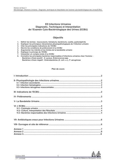 ED Infections Urinaires Diagnostic, Techniques et Interprétation