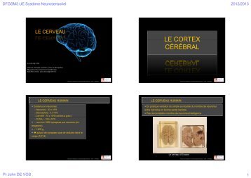 Cerveau (4diapos/page) - Faculté de médecine de Montpellier