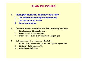 PLAN DU COURS