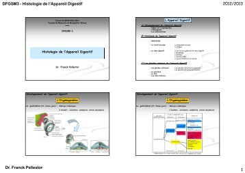 Histologie de l'Appareil Digestif 2012/2013 Dr. Franck Pellestor 1