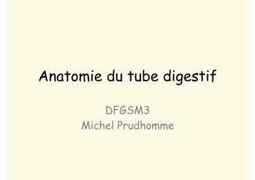 Anatomie du tube digestif