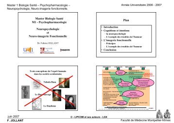 Neuropsychologie et Neuro-imagerie Fonctionnelle Master Biologie ...