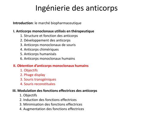 Ingénierie des anticorps