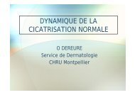 DYNAMIQUE DE LA CICATRISATION NORMALE