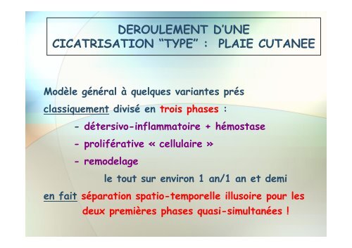 DYNAMIQUE DE LA CICATRISATION NORMALE