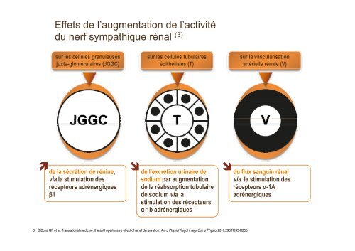 Hypertension artérielle Nouvelles recommandations ? - Faculté de ...