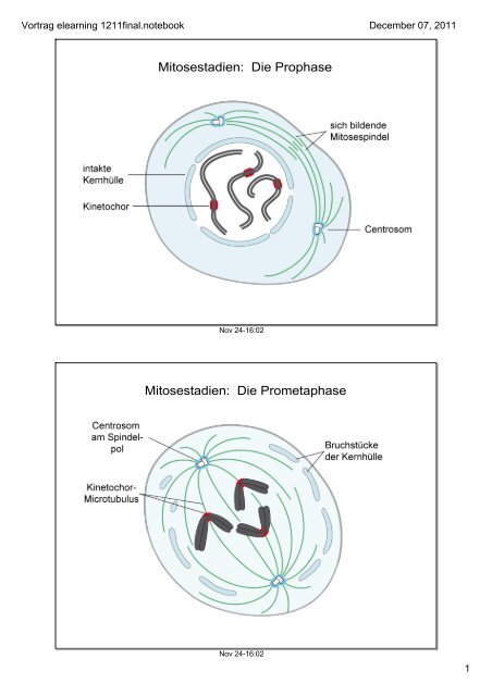 Vortrag elearning 1211final.notebook - studiumdigitale