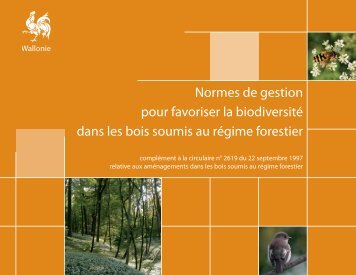 Normes de gestion pour favoriser la biodiversitÃ© dans les bois ...