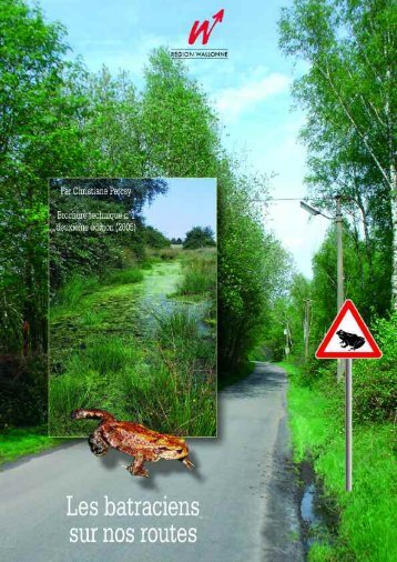 Les batraciens sur nos routes - Portail environnement de Wallonie