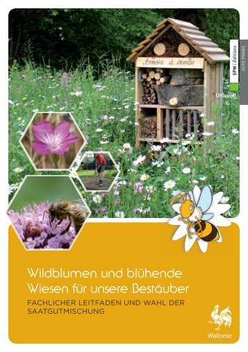 Wildblumen und blÃ¼hende Wiesen fÃ¼r unsere BestÃ¤uber - Portail ...