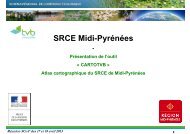 SRCE Midi-PyrÃ©nÃ©es - Arpe