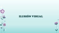 ILUSIÓN VISUAL