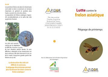 frelon asiatique - Chambre d'Agriculture de la Dordogne