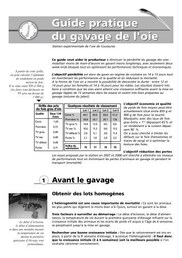 Guide pratique du gavage de l'oie
