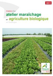 atelier maraÃ®chage en agriculture biologique - Chambre d ...