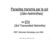 Geo-Helminthes