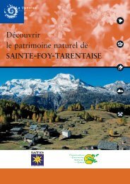 Patrimoine naturel de SAINTE-FOY-TARENTAISE - Parc national de ...
