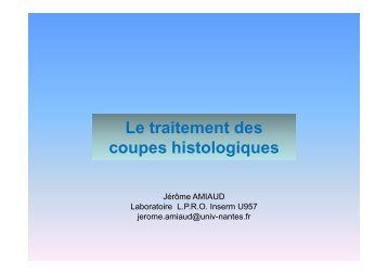 Techniques de traitement des coupes histologiques