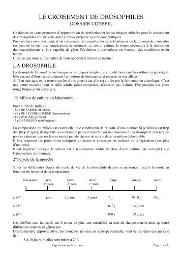 Les croisements de drosophiles - sordalab