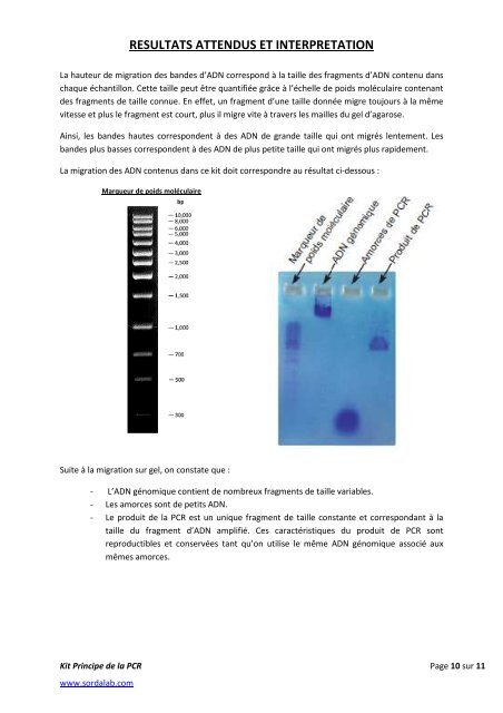 Notice RÃ©alisation d'une PCR - Sordalab