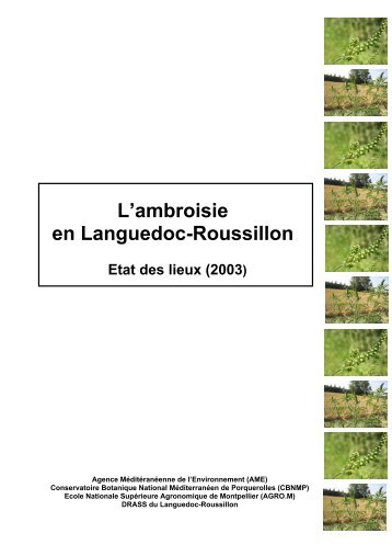 L'ambroisie en Languedoc-Roussillon - ARS Languedoc-Roussillon