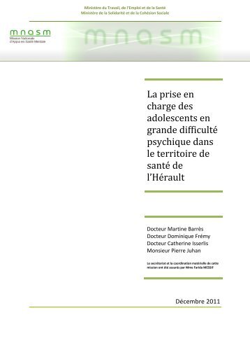 Rapport de la Mission Nationale d'Appui en SantÃ© Mentale (pdf 625 ...