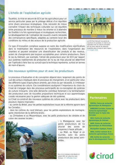 Inventer une nouvelle agriculture - Cirad