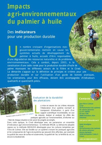 Impacts agri-environnementaux du palmier Ã  huile - Cirad